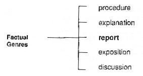 writing an exposition primary school